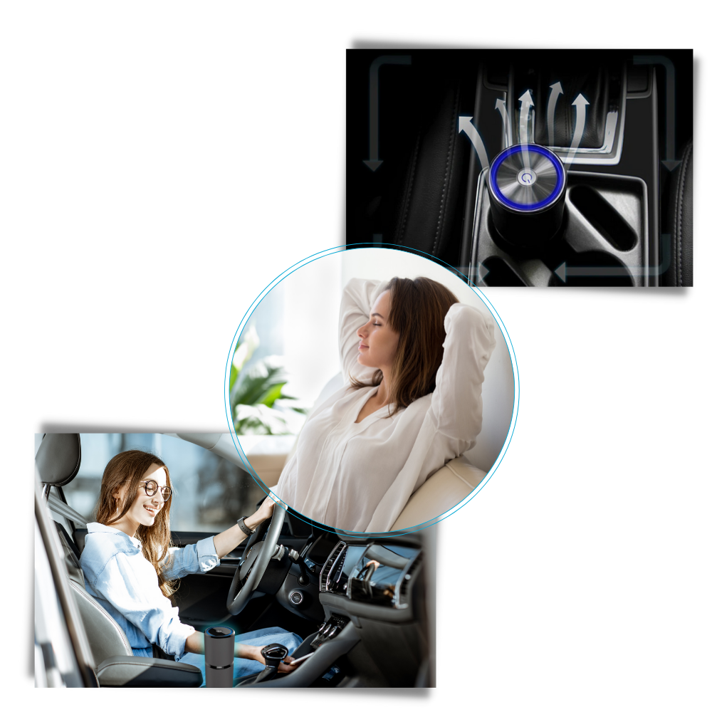 Ionischer Luftreiniger - Ozerty