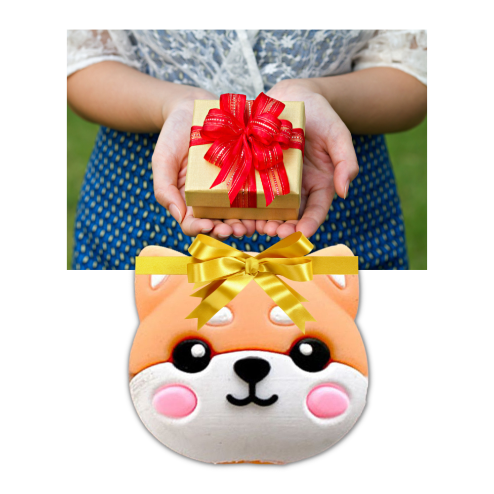 4er-Pack Ladekabel-Schutzvorrichtungen - Ozerty