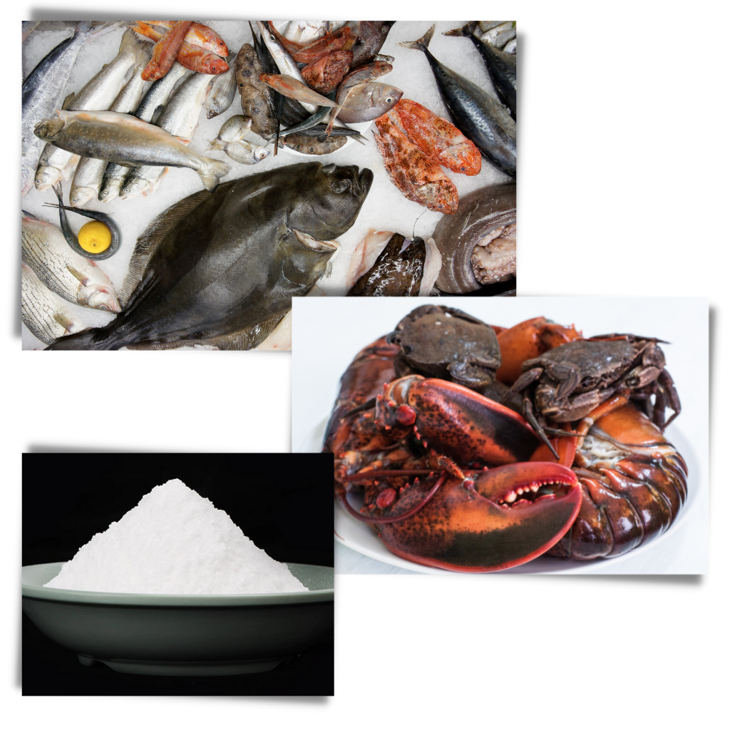 Lockender Fischköder - Ozerty