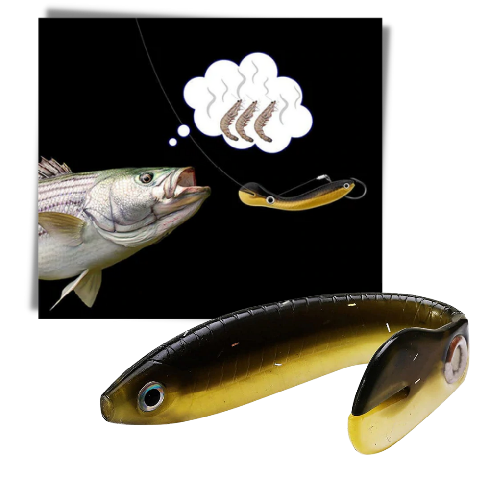 Kunstköder-Set zum Angeln - Odeut