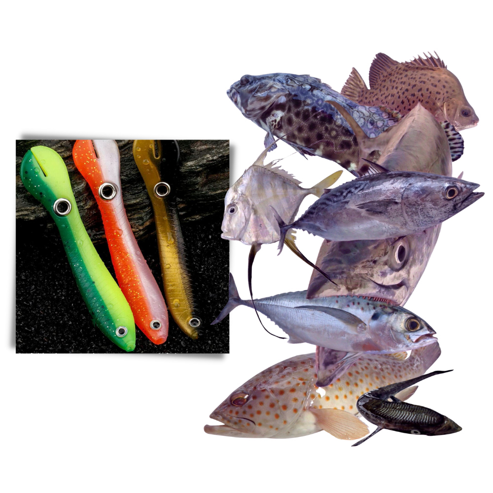 Kunstköder-Set zum Angeln - Odeut