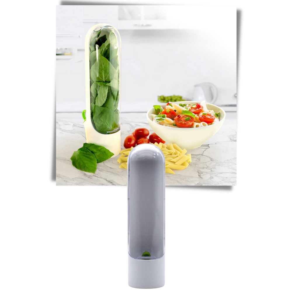 Frischkräuter-Konservierungsbehälter - Ozerty