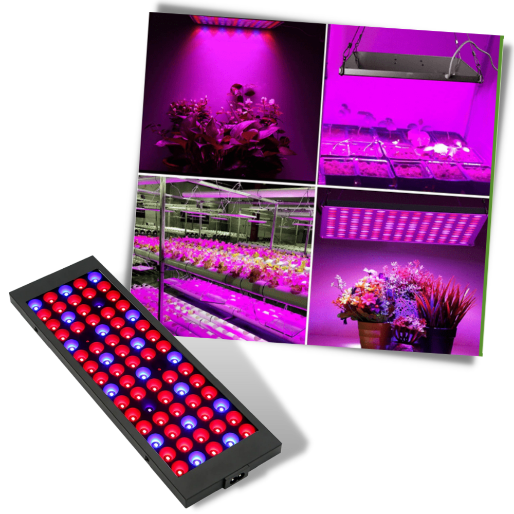 Full spectrum hanging LED grow lamp