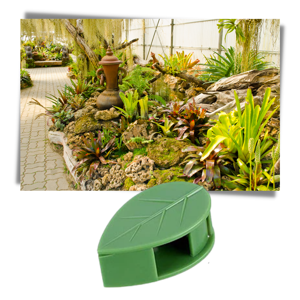 Packung mit 20 blattförmigen Klebeklammern für Kletterpflanzen - Ozerty