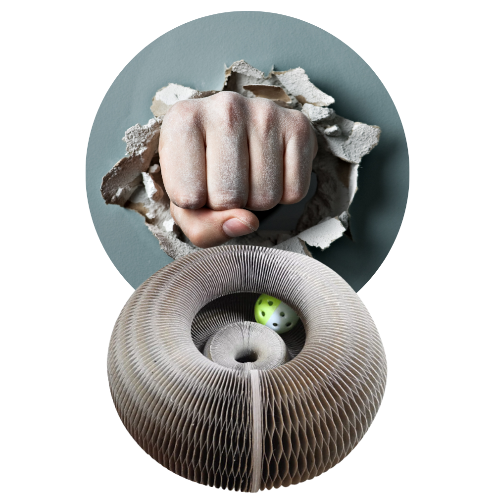 Kratzbrett für Katzen - Ozerty