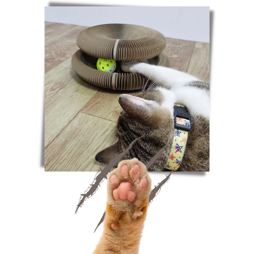 Kratzbrett für Katzen - Ozerty