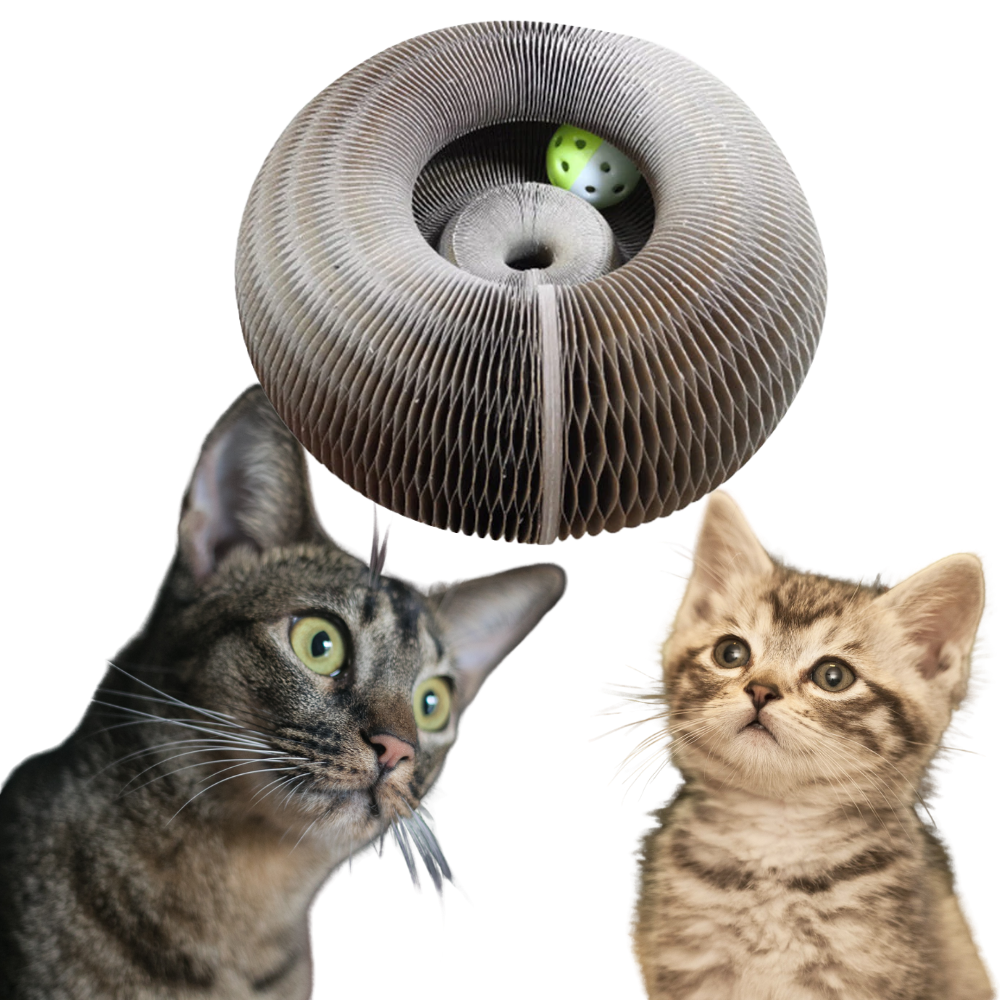 Kratzbrett für Katzen - Ozerty