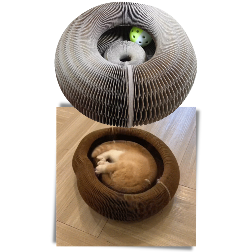 Kratzbrett für Katzen - Ozerty