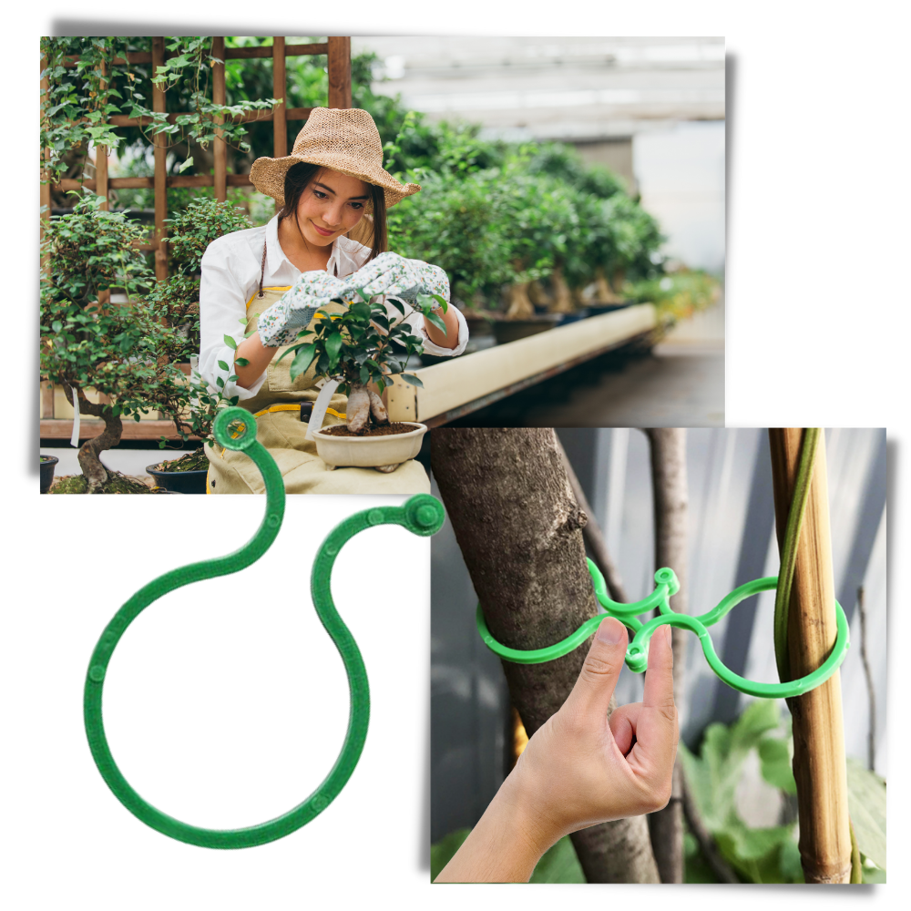 Packung mit Gartenpflanzenhalter-Clips - Ozerty