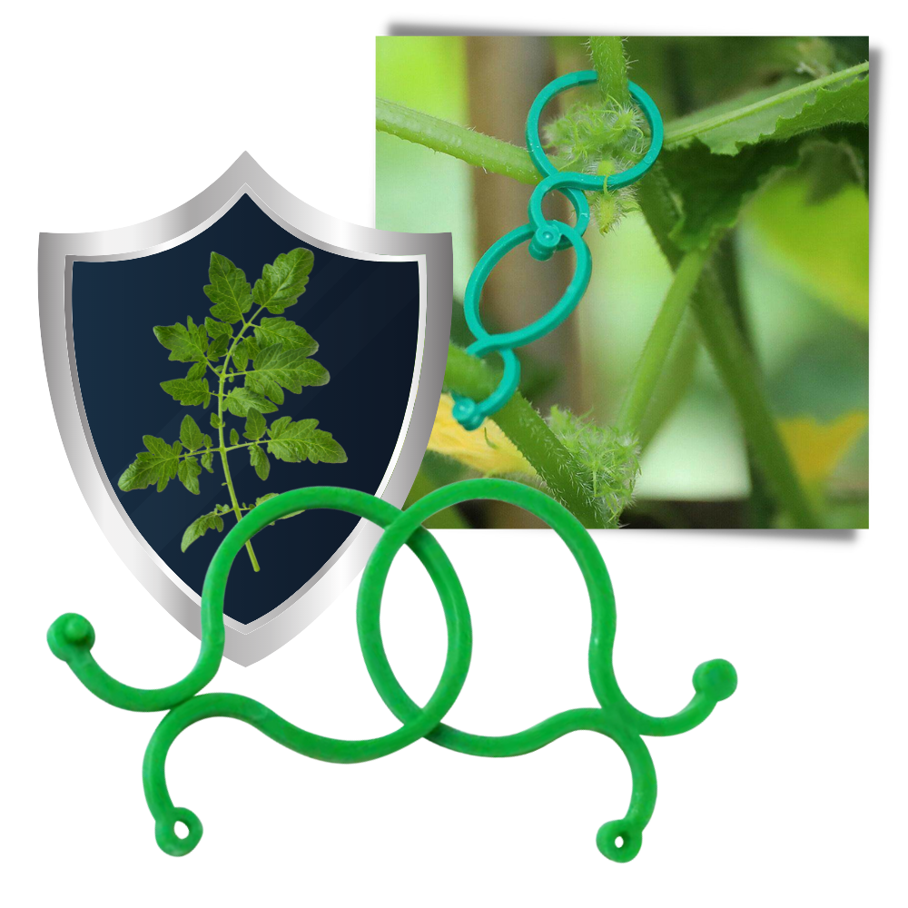 Packung mit Gartenpflanzenhalter-Clips - Ozerty