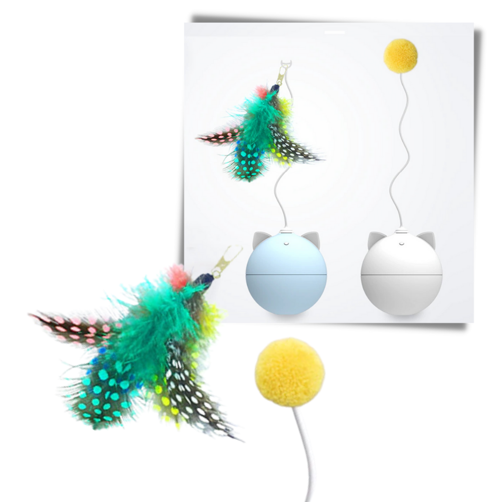 Katzenspielball mit Auto-Roll-Funktion - Ozerty