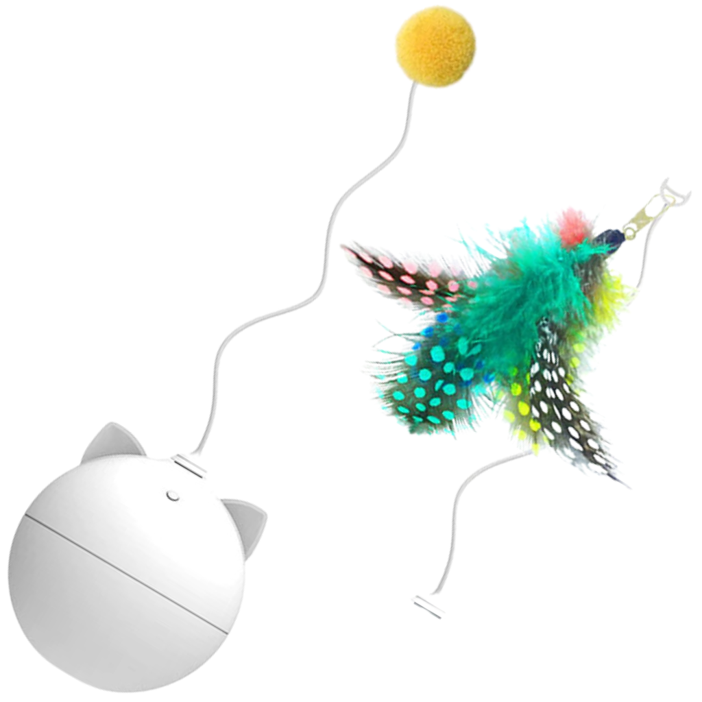 Katzenspielball mit Auto-Roll-Funktion - Ozerty