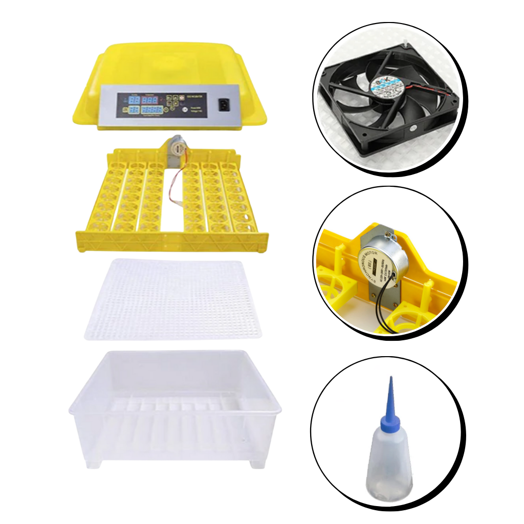 48 Eier Automatischer Inkubator - Ozerty
