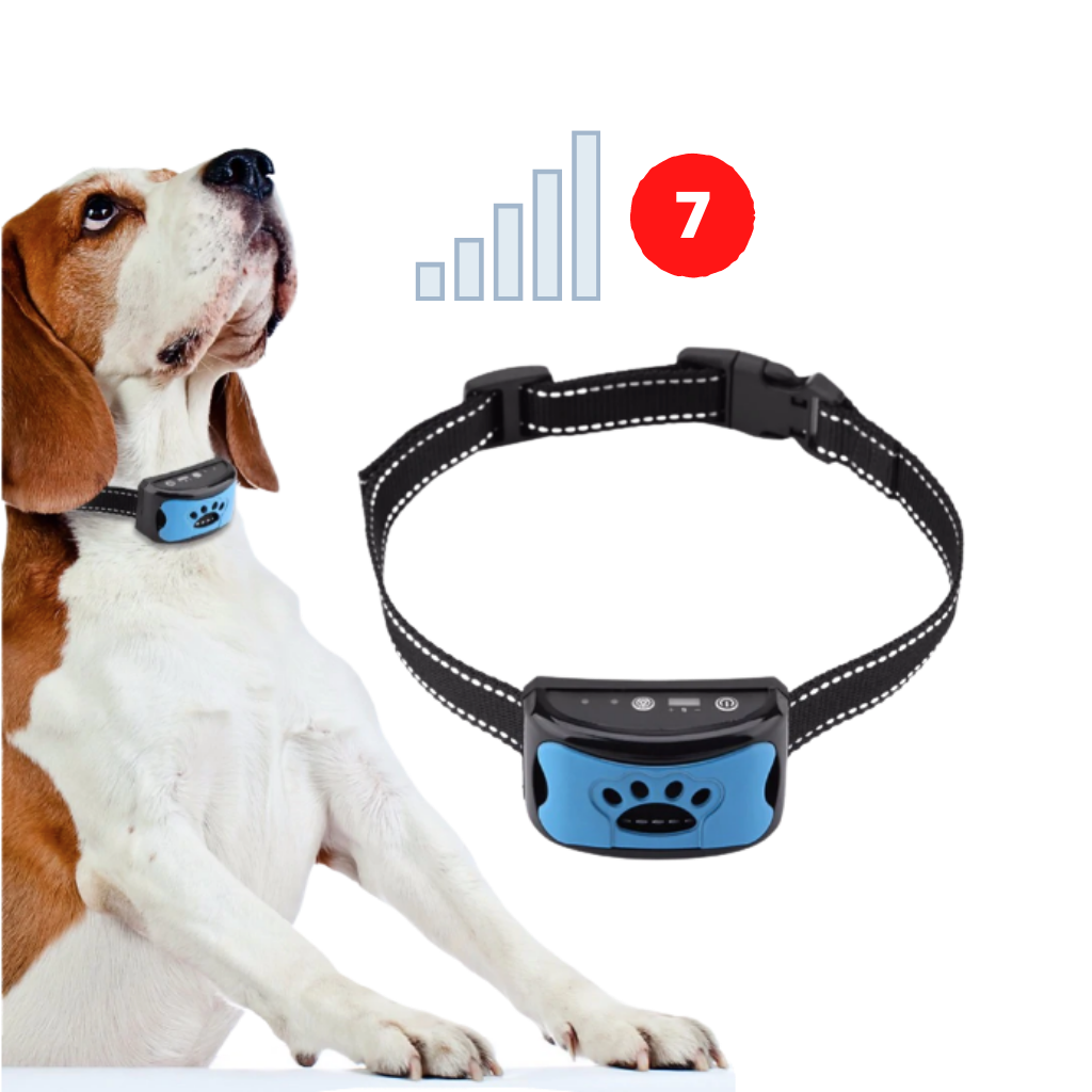 Anti-Bell-Hundehalsband - Ozerty