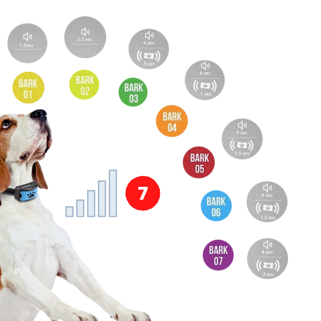 Anti-Bell-Hundehalsband - Ozerty