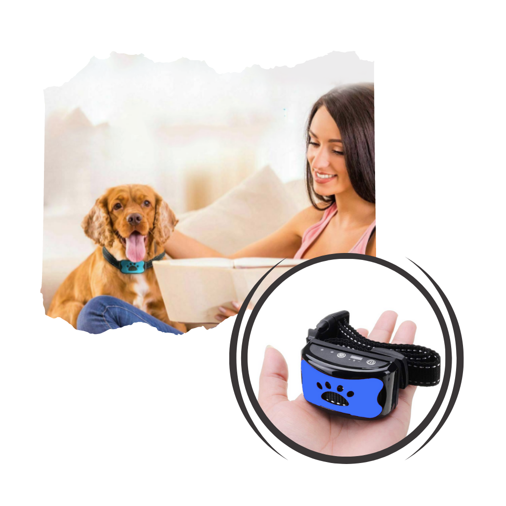 Anti-Bell-Hundehalsband - Ozerty