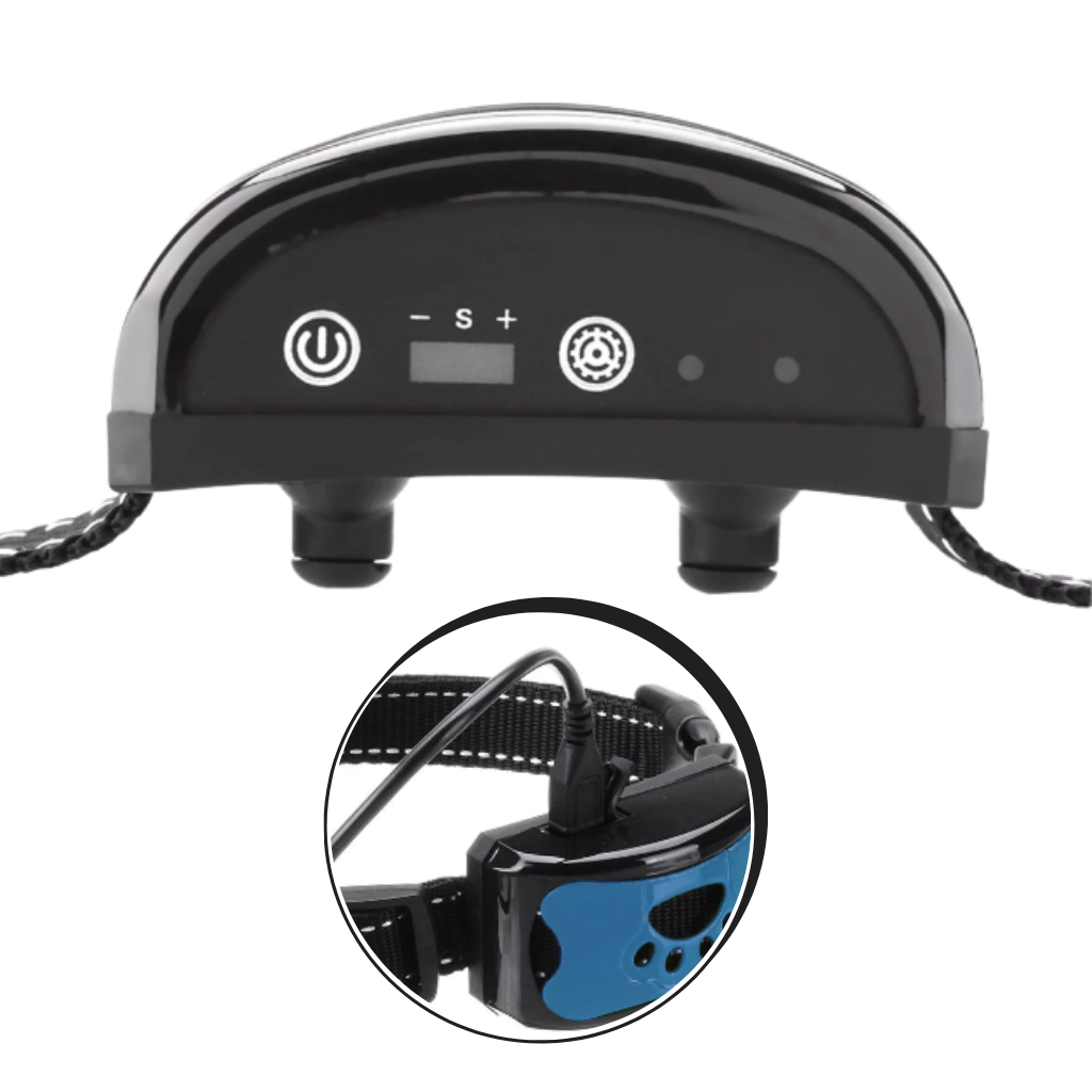 Anti-Bell-Hundehalsband - Ozerty