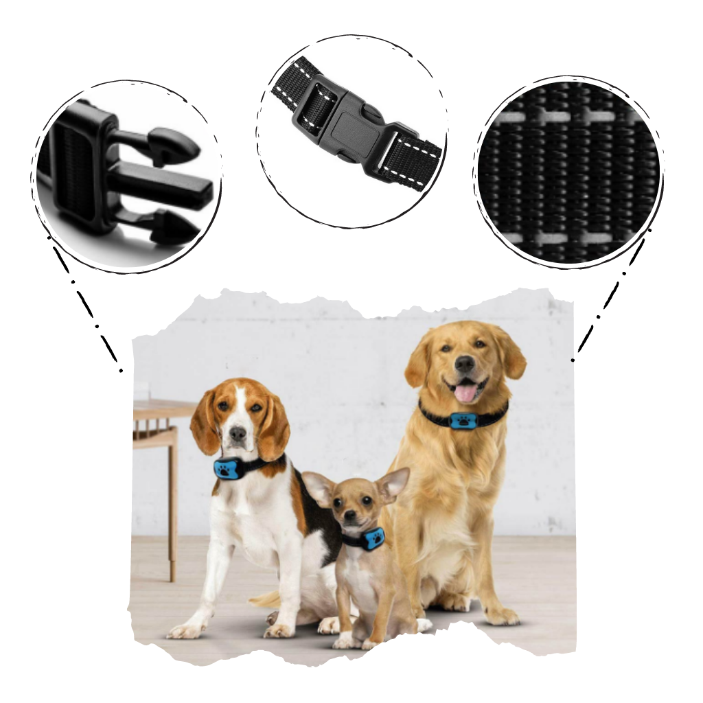 Anti-Bell-Hundehalsband - Ozerty