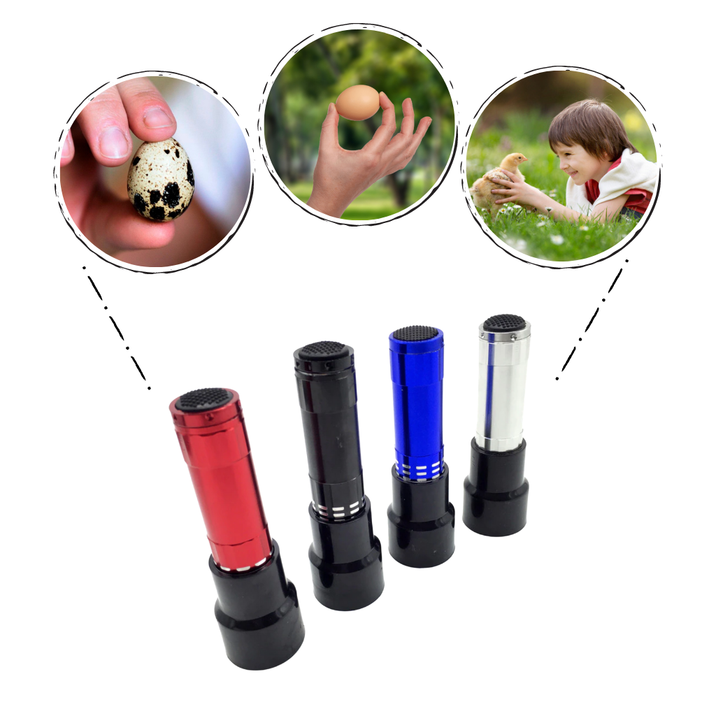 Eierleuchter - Ozerty