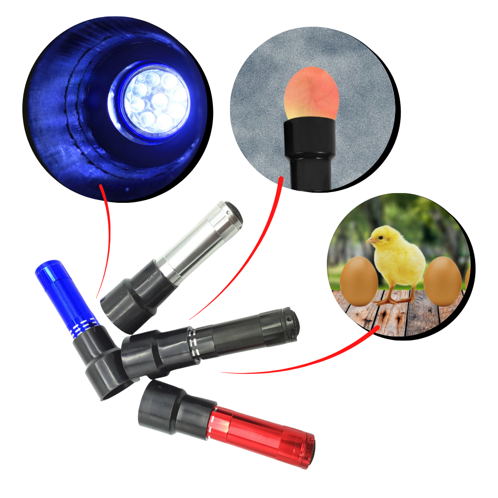 Eierleuchter - Ozerty