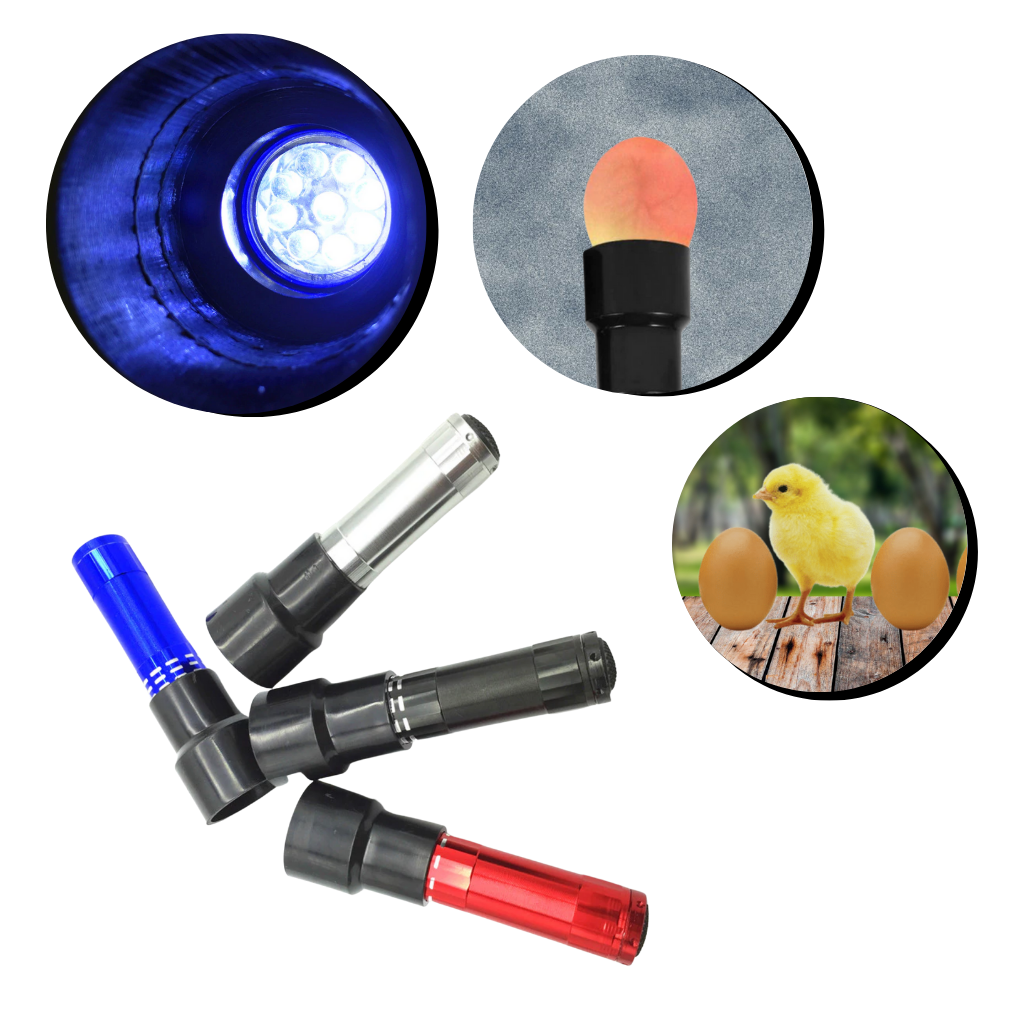 Eierleuchter - Ozerty