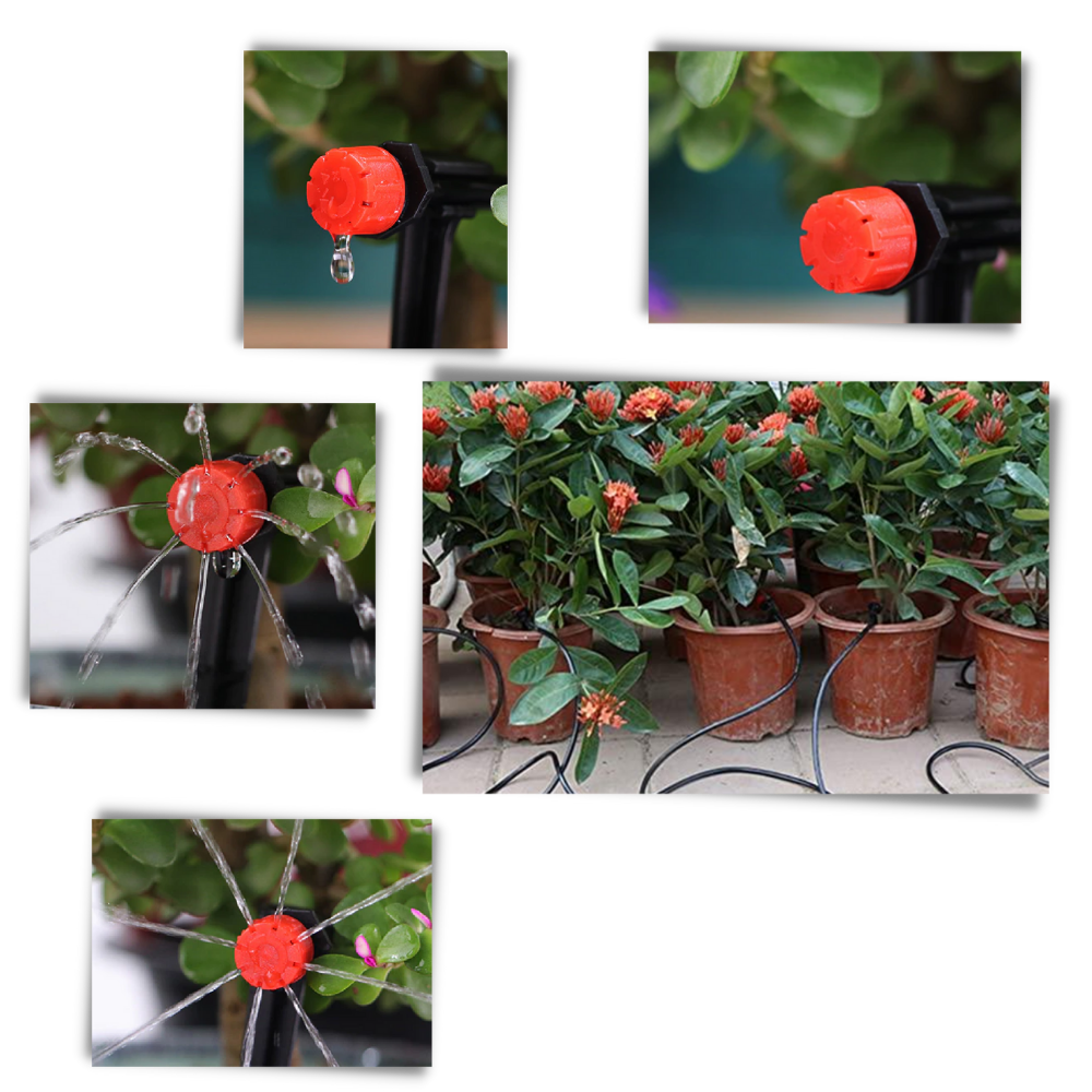 Garten-Bewässerungssystem - Ozerty