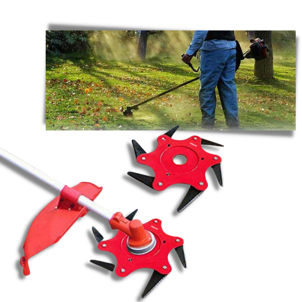 Bürstenmähkopf - Ozerty