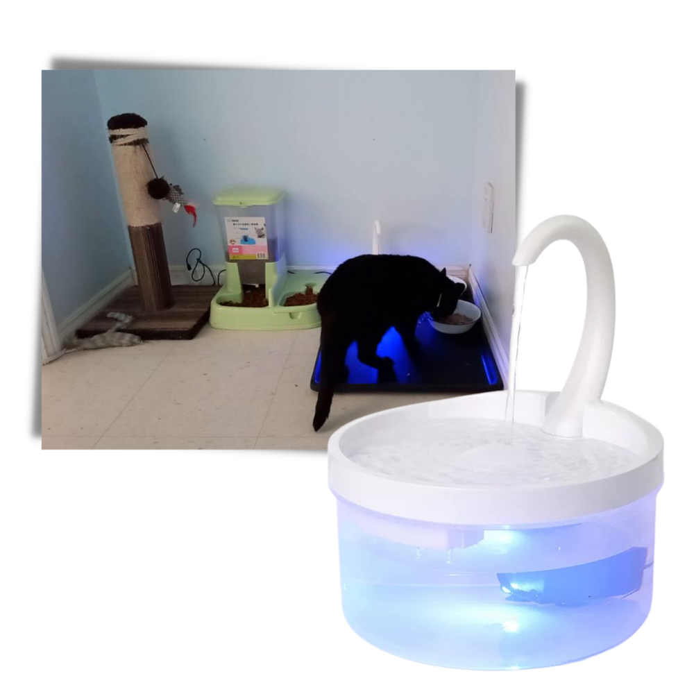 Automatischer Wasserbrunnen für Katzen mit LED-Licht - Ozerty