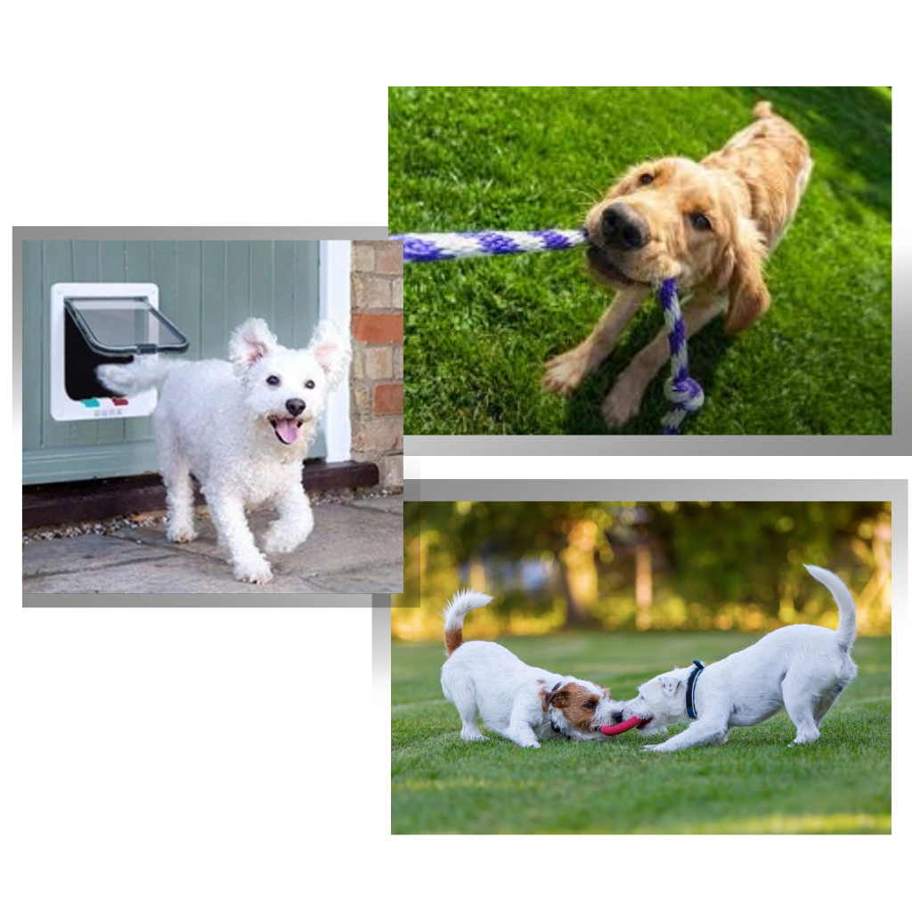 Katzenklappe Tür - Ozerty