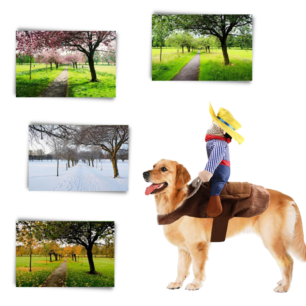 Cowboy Hundekostüm - Ozerty