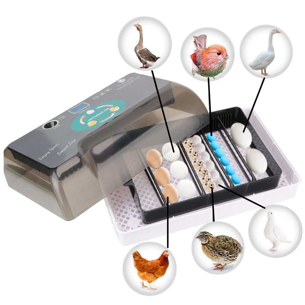 Digitaler automatischer Eier-Inkubator - Ozerty
