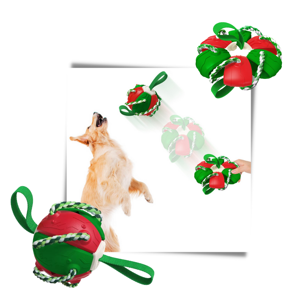 Frisbee-Ball Hundespielzeug - Ozerty