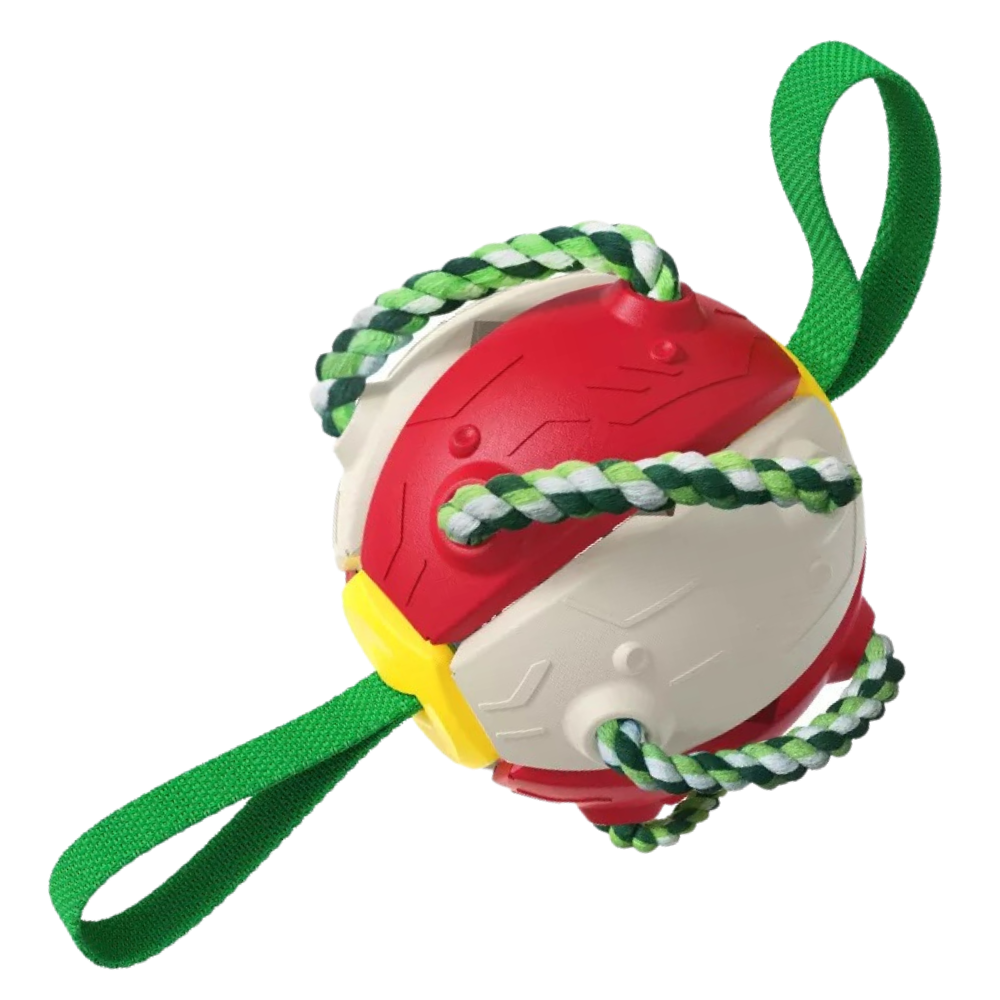 Frisbee-Ball Hundespielzeug