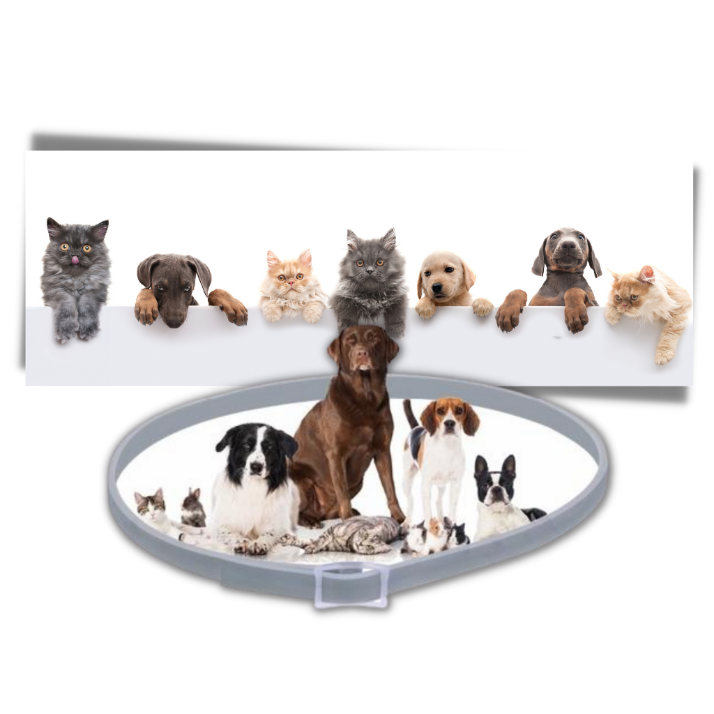 Flohhalsband für Haustiere - Ozerty