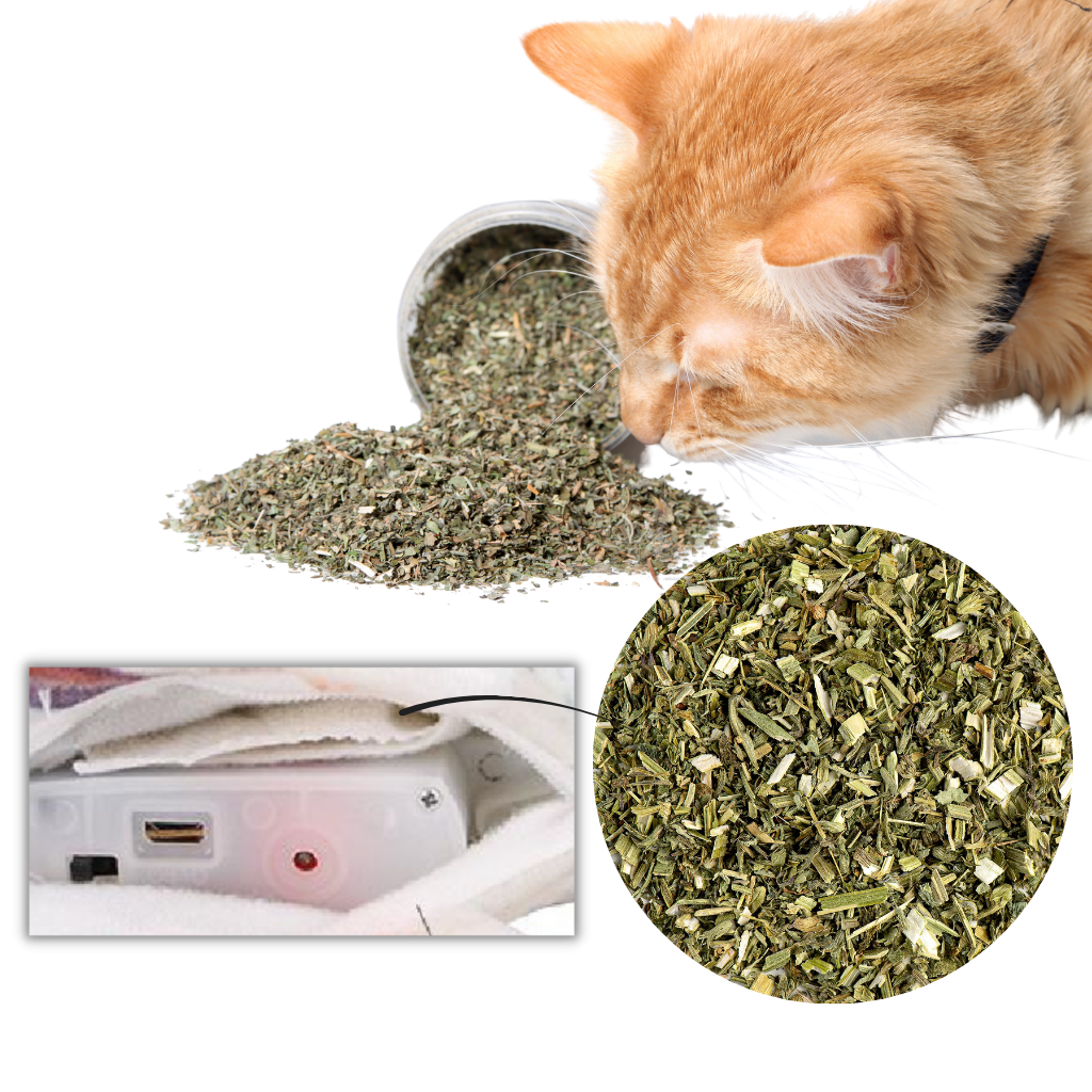 Floppender Fisch Katzenspielzeug - Ozerty