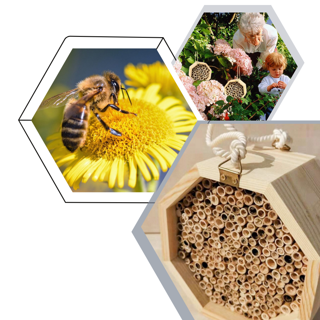 Sechseckiges Holz-Bienenhaus - Ozerty