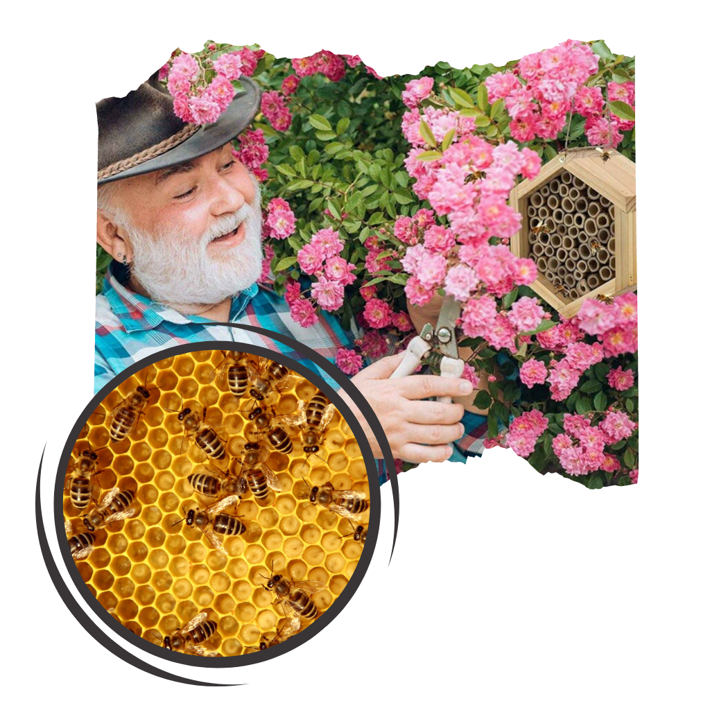 Sechseckiges Holz-Bienenhaus - Ozerty