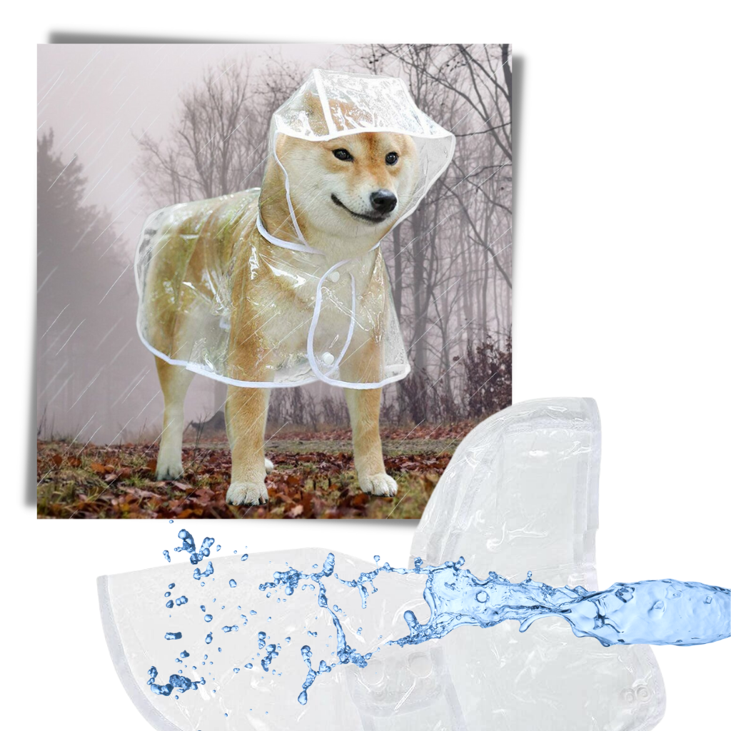 Kapuzenregenmantel für Hunde - Ozerty