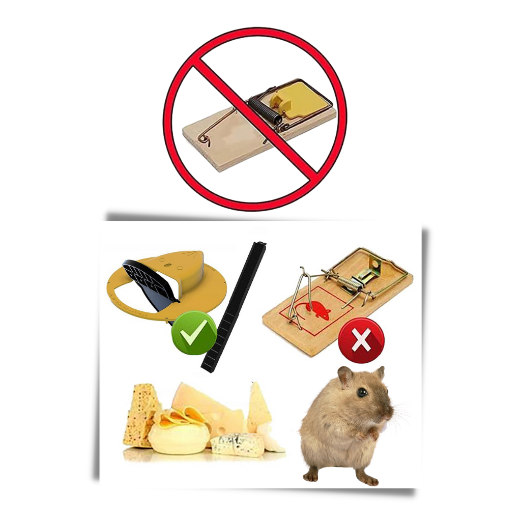 Eimer Ratten- und Mäusefalle - Ozerty