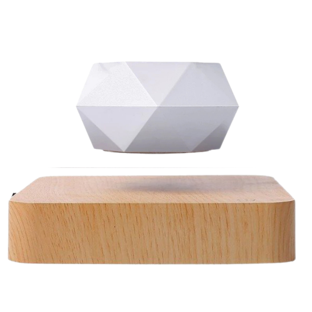 Schwebende Lufttopf-Pflanze - Ozerty