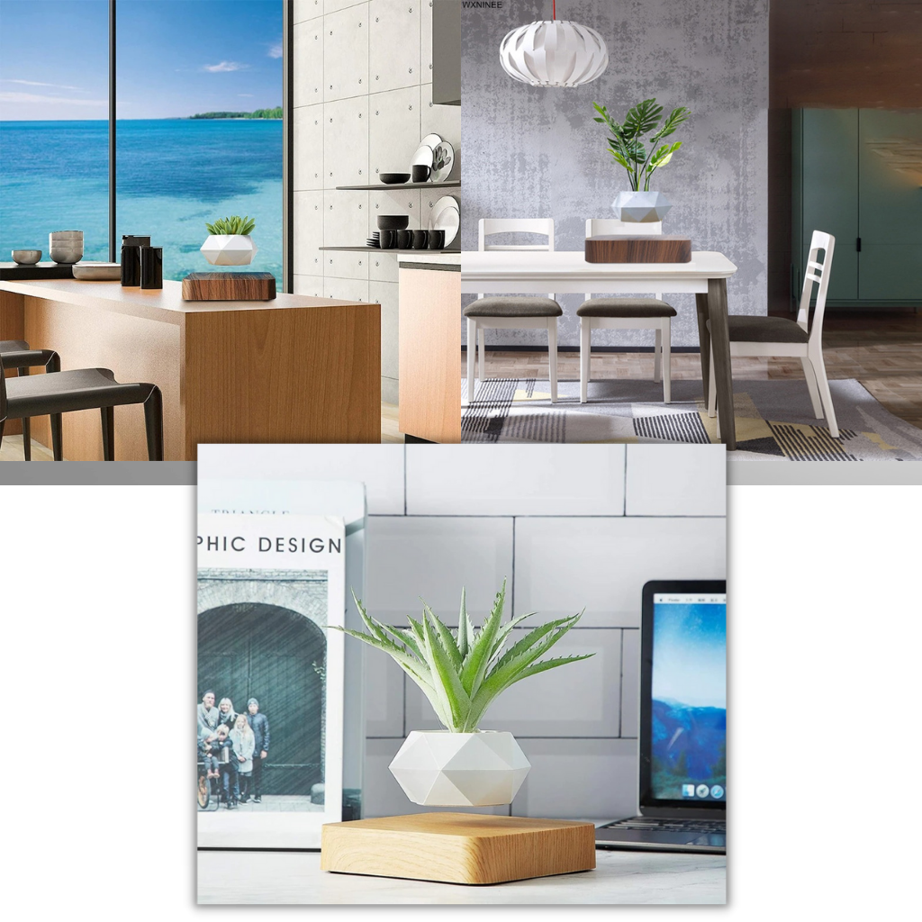 Schwebende Lufttopf-Pflanze - Ozerty