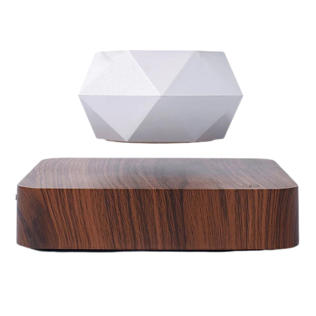 Schwebende Lufttopf-Pflanze