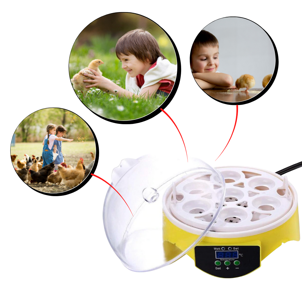 Automatischer Mini-Ei-Inkubator - Ozerty