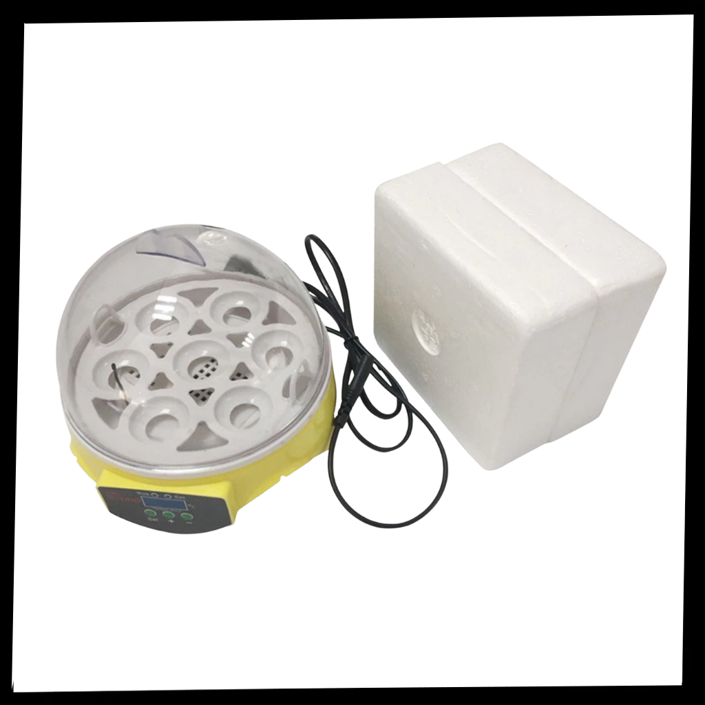 Automatischer Mini-Ei-Inkubator - Ozerty