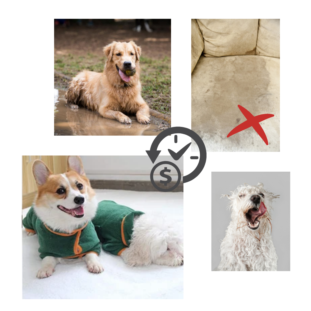 Saugfähiger Bademantel für Haustiere  - Ozerty