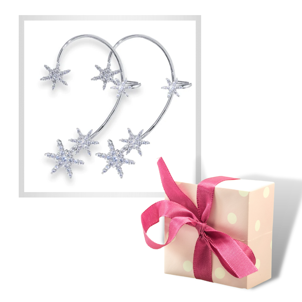 Paar Zirkonia Clip-on Mode Ohrringe - Ozerty