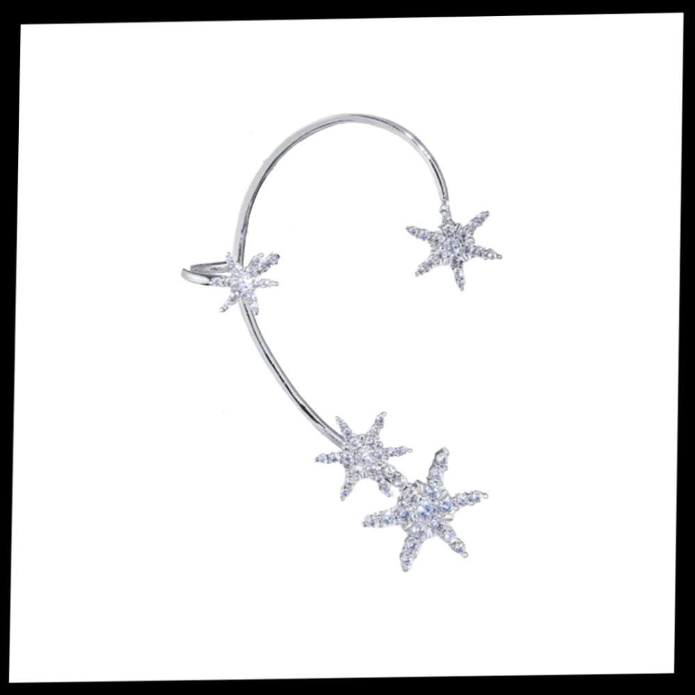 Paar Zirkonia Clip-on Mode Ohrringe - Ozerty