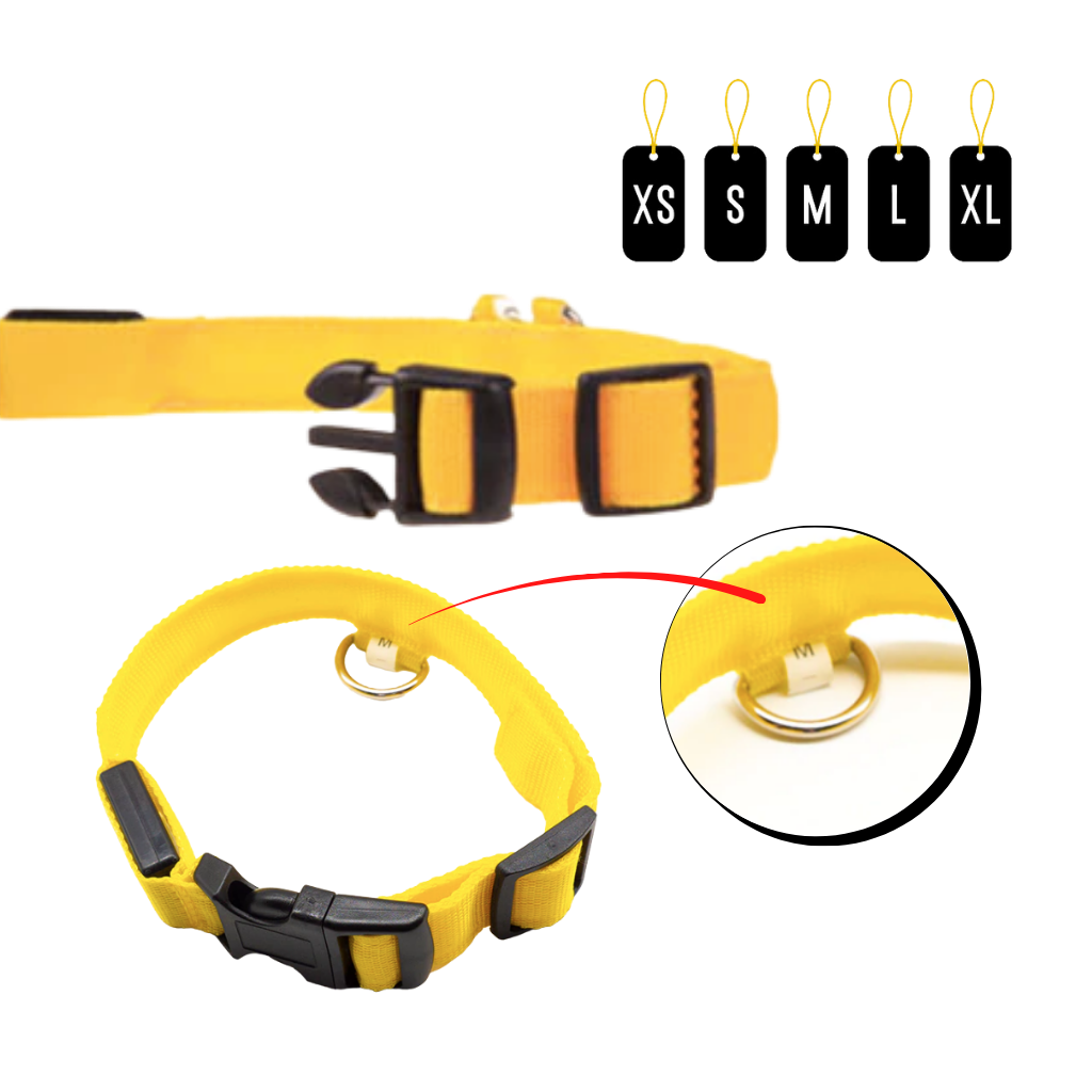 USB-aufladbares LED-Licht-Hundehalsband - Ozerty