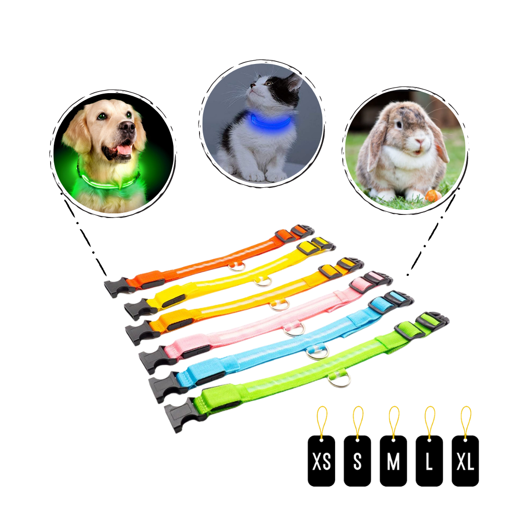 USB-aufladbares LED-Licht-Hundehalsband - Ozerty