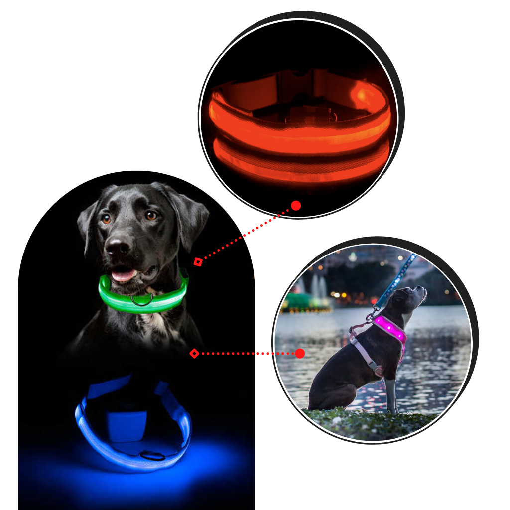 USB-aufladbares LED-Licht-Hundehalsband - Ozerty